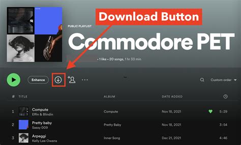 How to Download Spotify Music to Computer: A Comprehensive Guide with Insightful Q&A