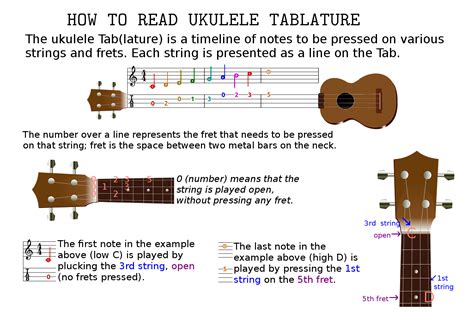 how to read ukulele music and why it's important to understand music theory