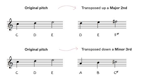 Transposition Music Definition and its Multi-Layered Interpretation